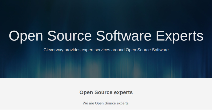Cleverway Open Source Software Experts