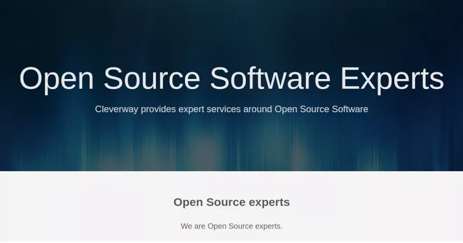 Open Source Software Experts